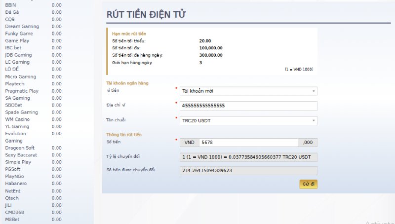 Nhập đúng thông tin khi thực hiện giao dịch rút tiền bằng USDT